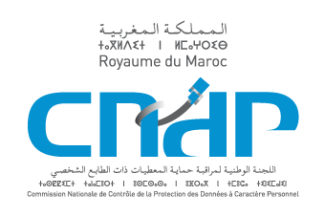 COMMISSION NATIONALE DE CONTROLE DE LA PROTECTION DES DONNEES A CARACTERE PERSONNEL
